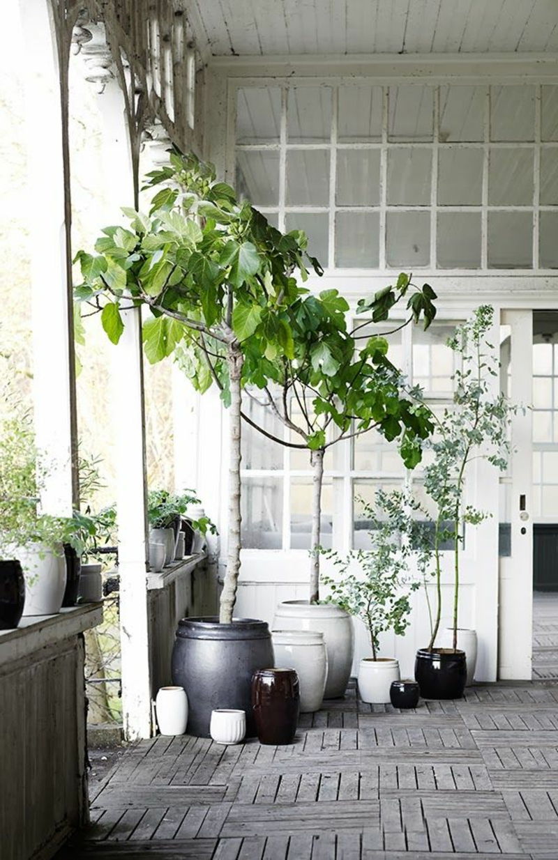 alb-echipamente de agățat-plante balcon-plantă-