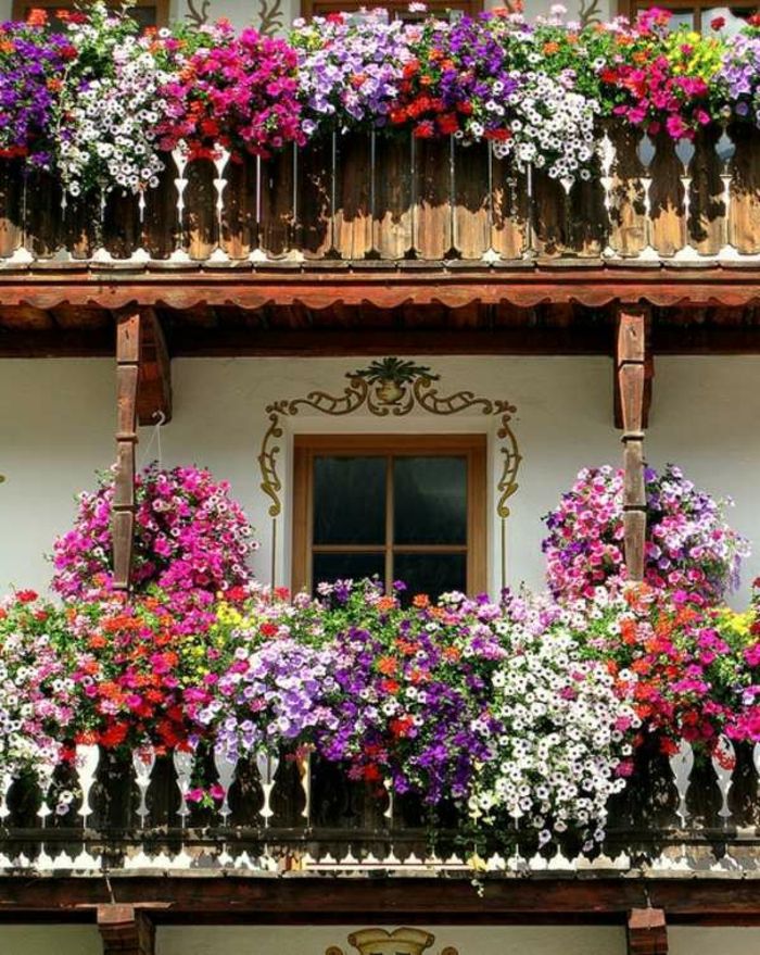 balkonowe kwiaty na dwa piętra
