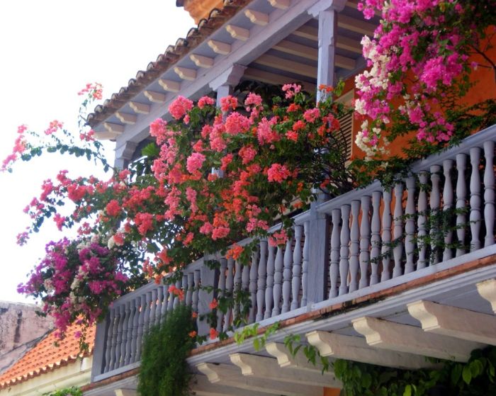 balkon-cvetje-leseni-design