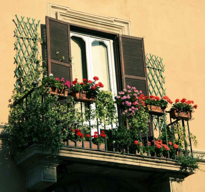 balkónové kvety, zaujímavá-and-cool
