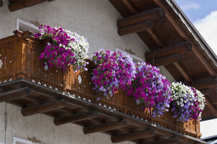 balkon-cvetje-classic-design