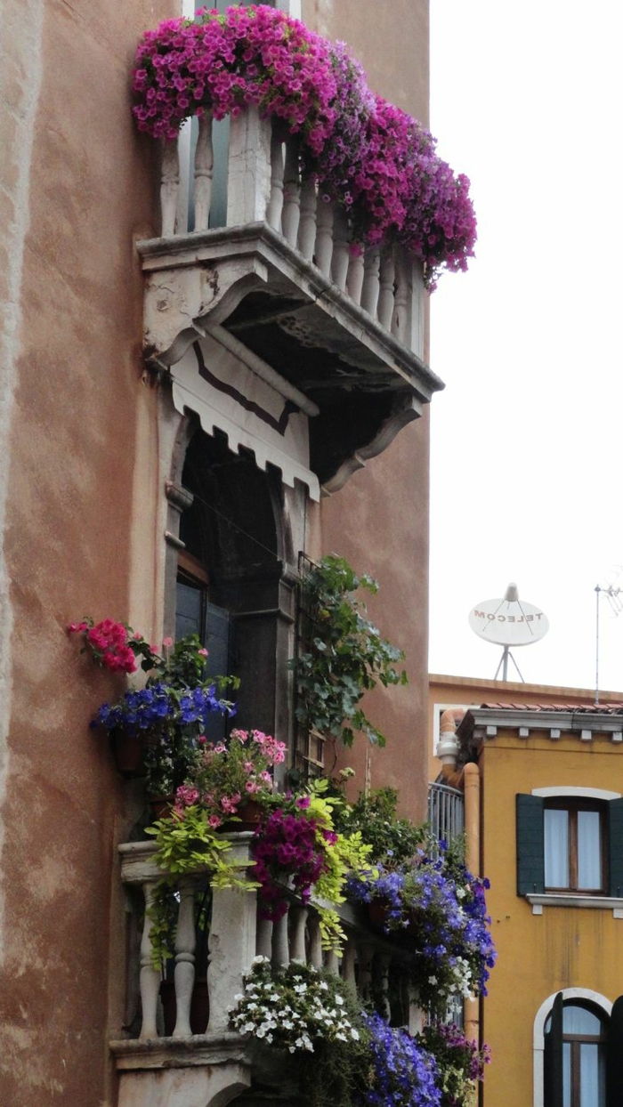 balkónové kvety, retro vzhľad