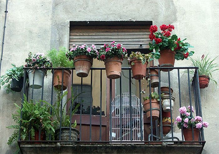 balkon-cvetje-številni lončki za rastline