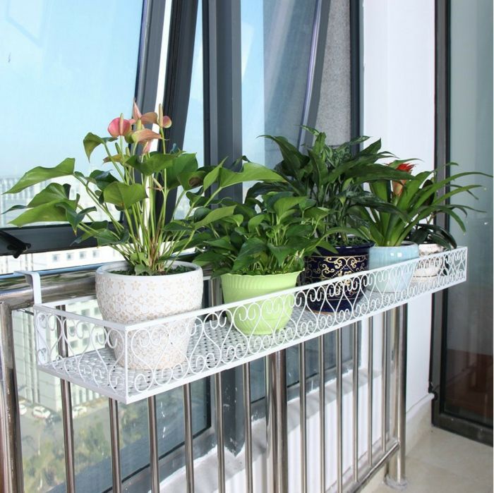 balkónové kvety biely dizajn