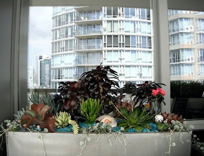 balkon-dekorasyon-birçok bitki-pencere