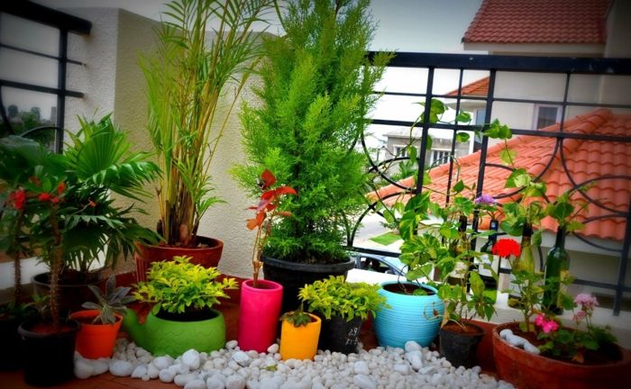balkón-dekorácie-many rastlina-in-farebné-hrnca