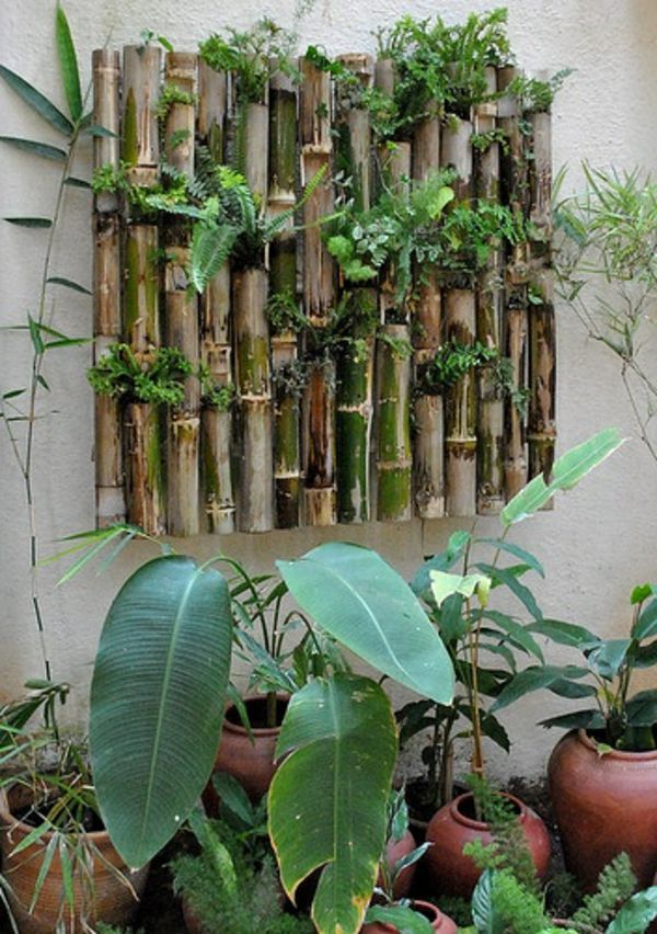 bambus, balkon-kreativno-stena oblikovanje