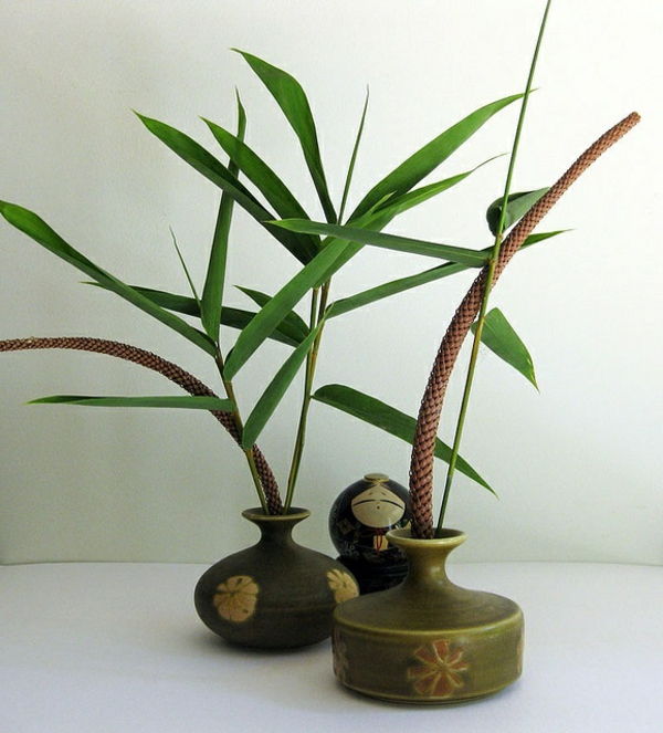 bambus váza-zaujímavé zelená rastlina