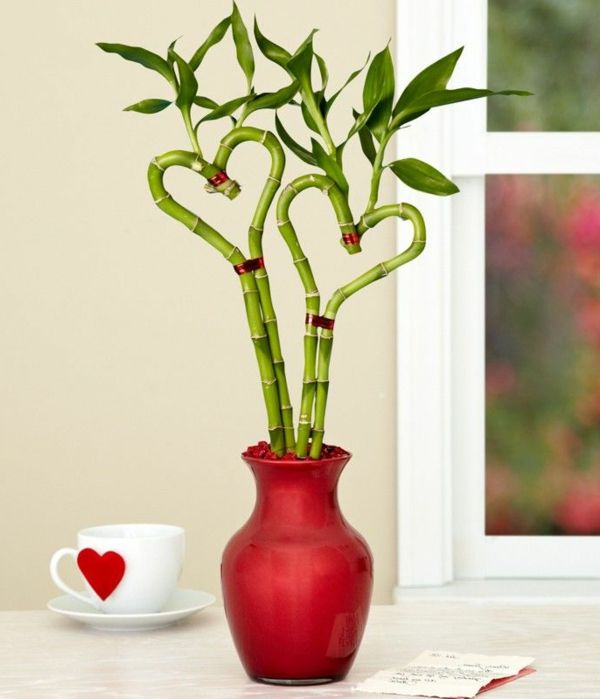 bambus váza červenej farby, krásny sladký-design
