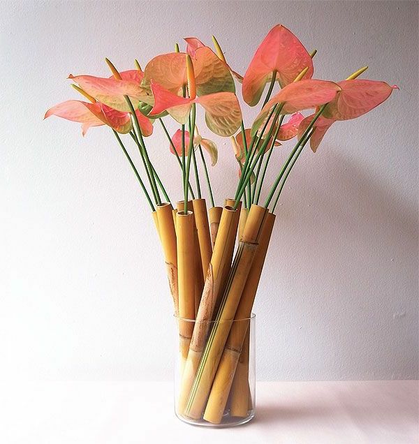 bambuko vaza-gražūs-gėlės-in-persiko spalvos
