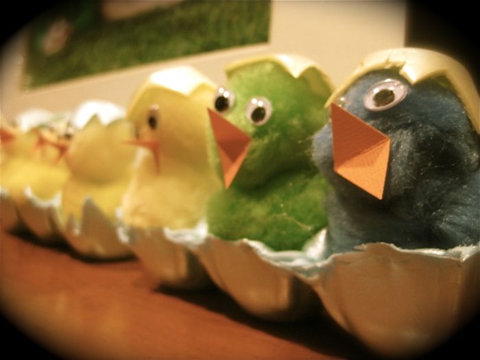 skupino piščancev, izvaljenih iz škatle za jajca - skrinjica z jajčnimi škatlami Velikonočni
