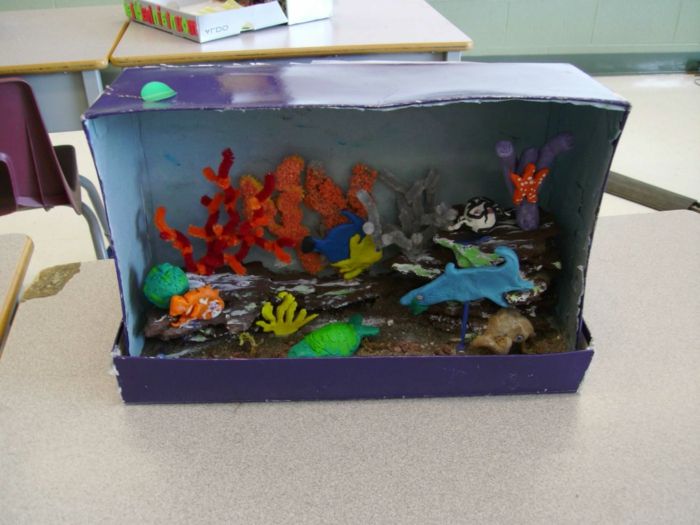 kaip akvariumas su žuvimi, padaro batų dėžutę mėlyna spalva