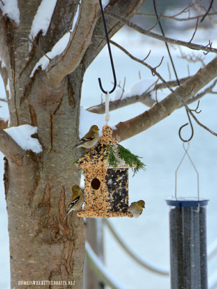 Casa de alimentador de pássaros com sementes e sementes de girassol, três pequenos pardais, neve nos galhos