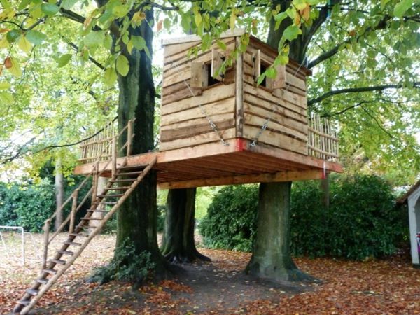 Treehouse-kinder-garden-platform-window manager