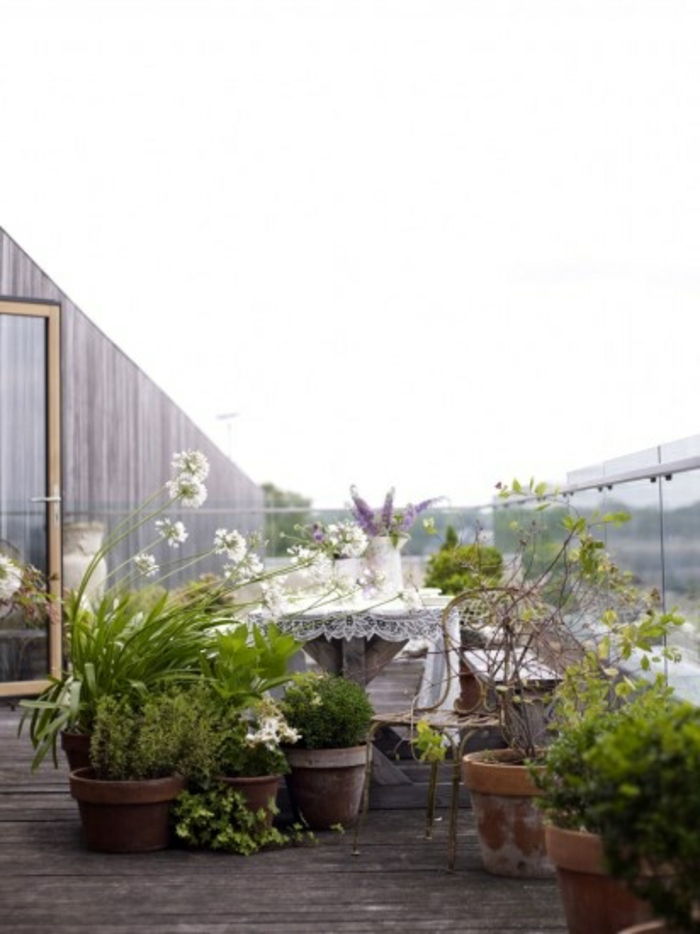 bepflanzung- strešná terasa, zo skla a dreva