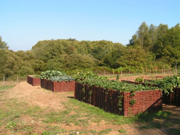 plantage-hög-säng-moderna - träd och blå himmel