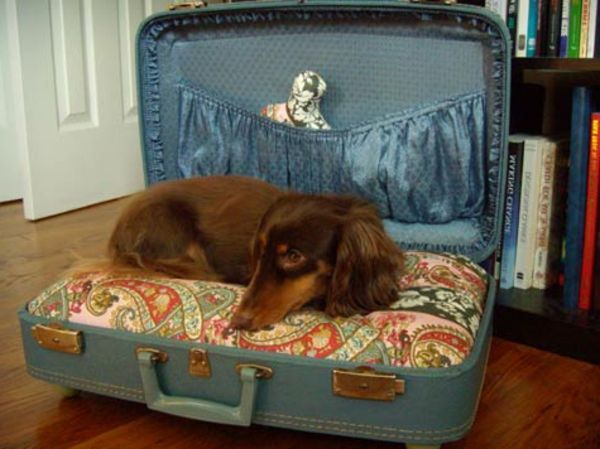 fare letto-by-cane-in-valigia-Sé