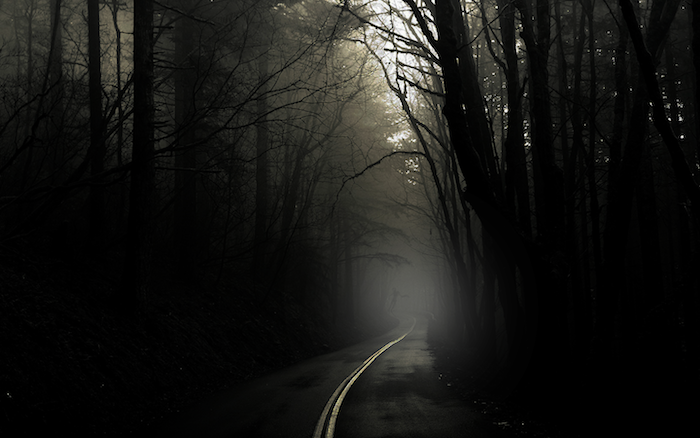en skog med många svarta träd och dimma och en väg - idé om ämnet tråkiga bilder att gråta