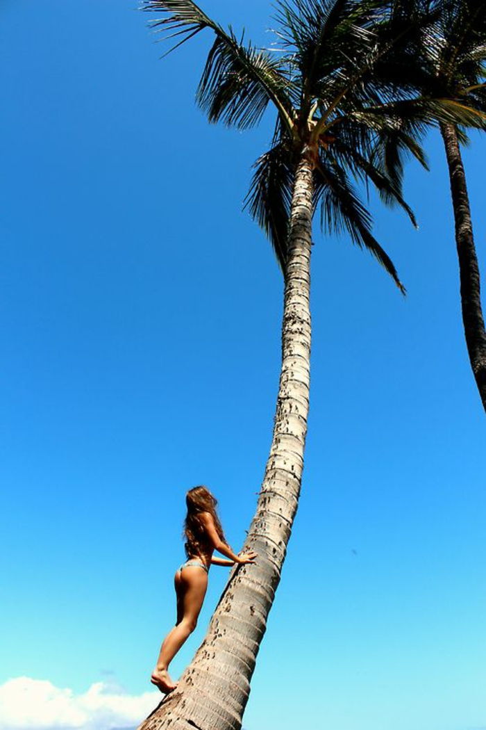 Görüntü-of-the palmiyeler-mavi-arkaplan