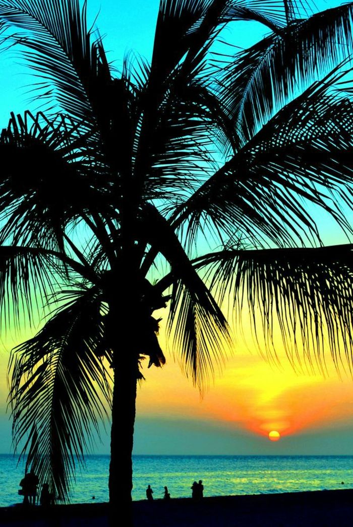 image-of-palmen Kleurrijke Achtergrond