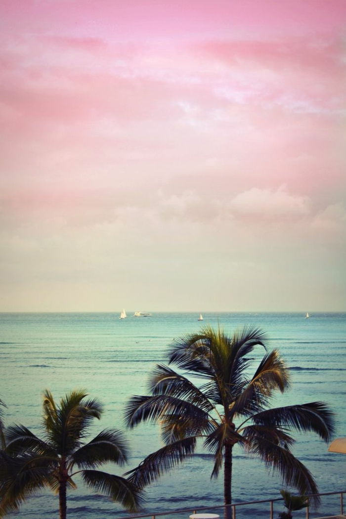 vaizdas-of-palmių-rožinis Pagrindas