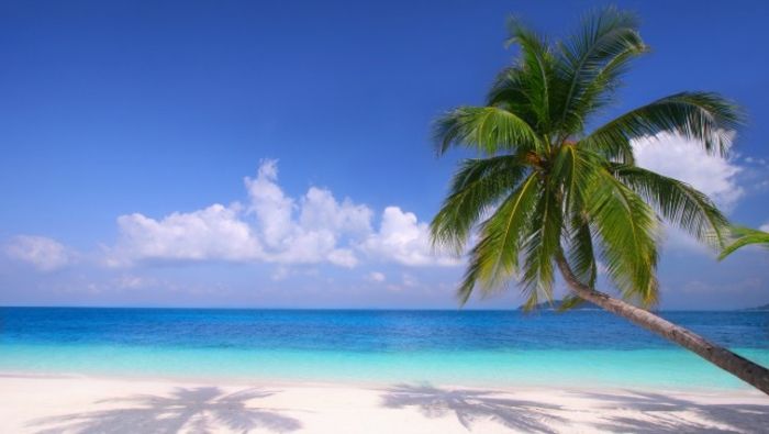 vaizdas-of-palmių-smėlio-ir-vandens