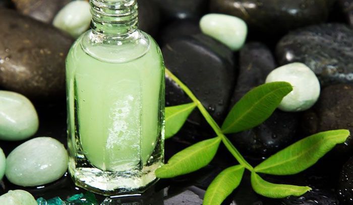 Gör naturliga kosmetika själv, duschgel med aloe vera, hudvård