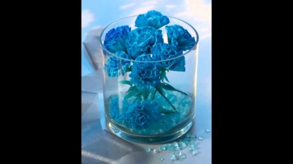Blå blommor papper-in-glasstorleksändras