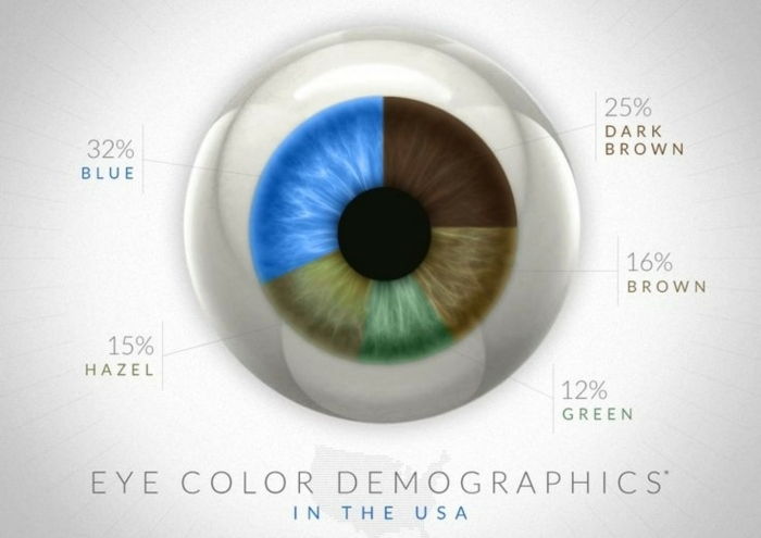 farklı göz renklerine sahip insanların yüzde yüzdesinde hangi göz renkleri vardır