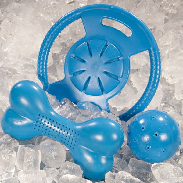 blue-kjæledyr leketøy-ball-to-play---spielzeug-for-pet