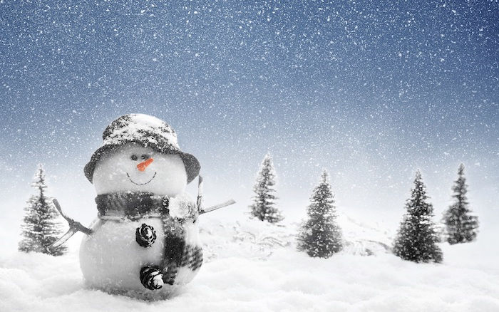 imagine de iarnă amuzant - un om de zăpadă cu eșarfă și pălărie și un portocaliu și ochi negri - patru copaci și zăpadă și fulgi de zăpadă albă