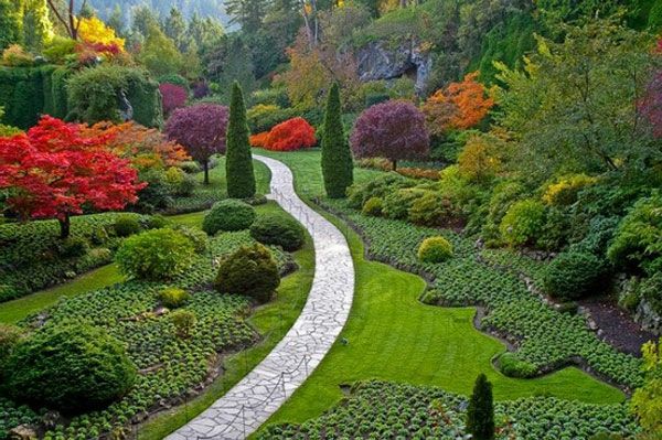 Kolorowe kwiaty i chodnik w dużym ogrodzie