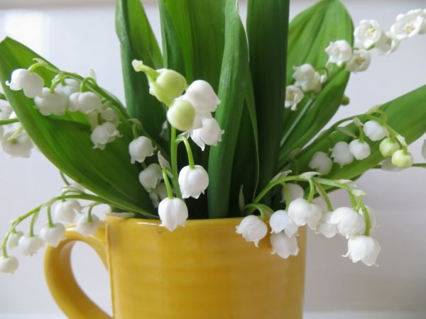 blomster-in-gul-cup-deco-ide-Tischdeko-Floral Deco tabellen