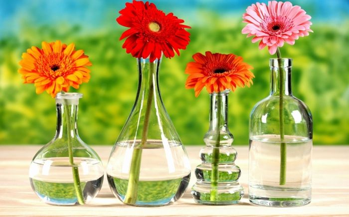 odlične ozadje s cvetjem, Gerbera v različnih odtenkih v steklenih vazah, štiri barve