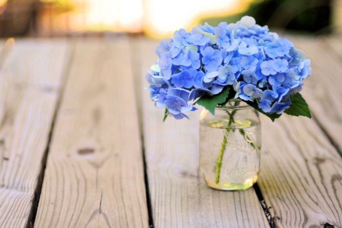 modre hortenzije v masonski jarici, šibovski eleganten slog, majhen, občutljiv šopek, raznolikost cvetja