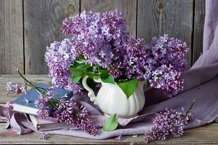 vijolična lila v porcelanski vazi, vijolična strop, knjiga ob šopki, lepo ozadje sliko