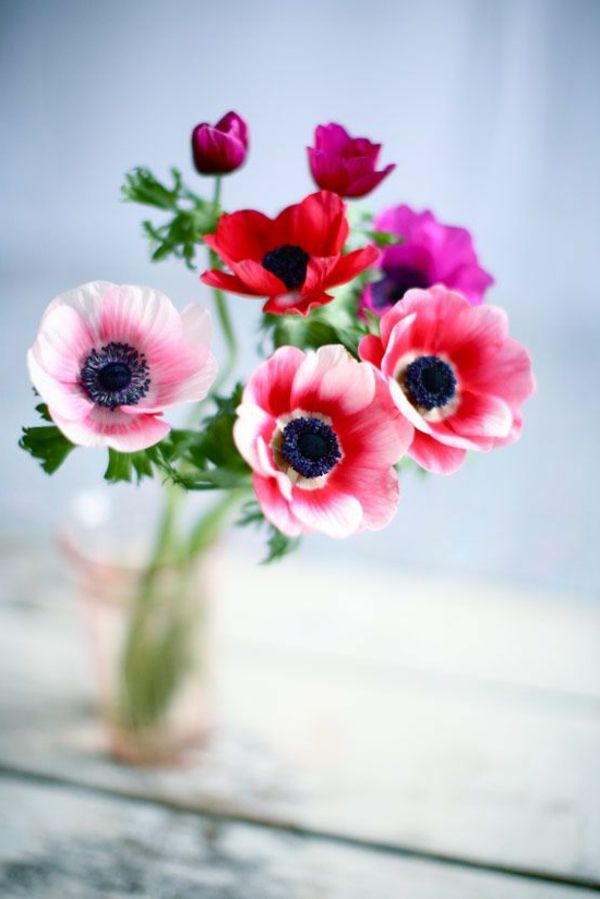 Blomster Deco blomster-in-a-vase