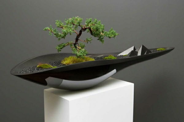 bloem emmer-design-bonsai bergen