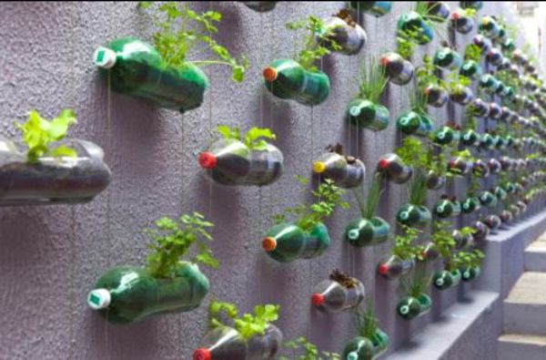 blomkrukor-gör-det-själv-i-flaskor-på-vägg-hängande - intressant förslag
