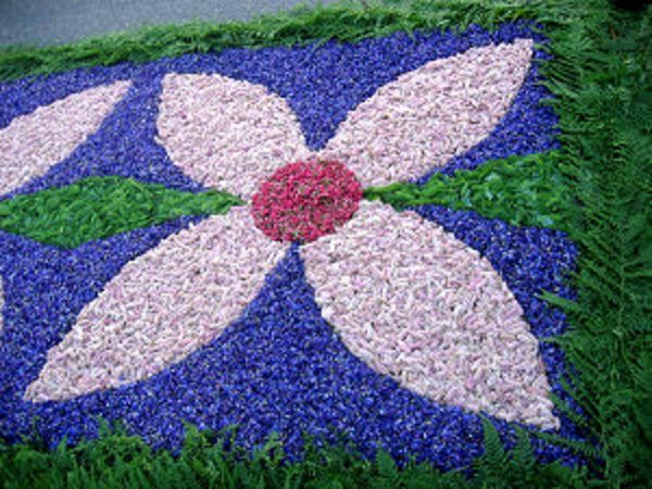 cvetlični lonec-za-Fronleichnam Flowers sliki