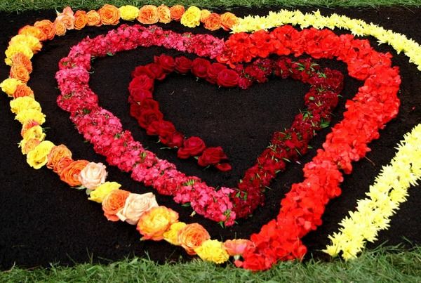 Gėlių kilimas Corpus Christi širdims viena kitai - juodas fonas