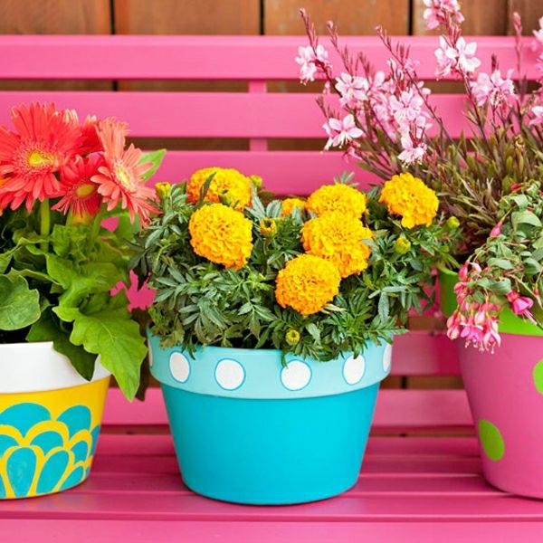 blomsterpotte-fargerike-plante-bank-rosa-ideer-utendørs-hage-utforming