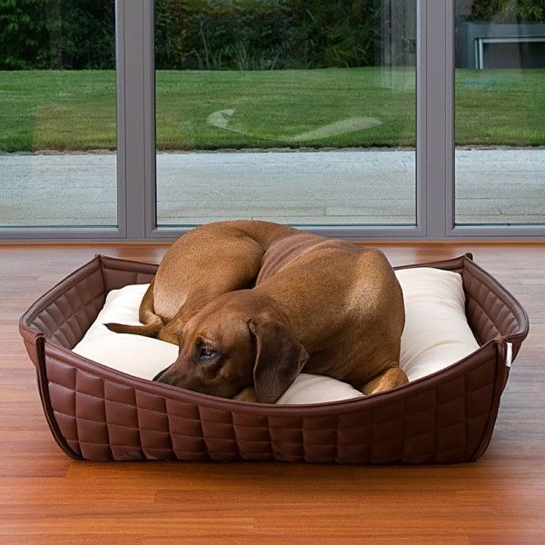 brun-ortopedisk-hund seng-med-hvitt-matte - brun hund