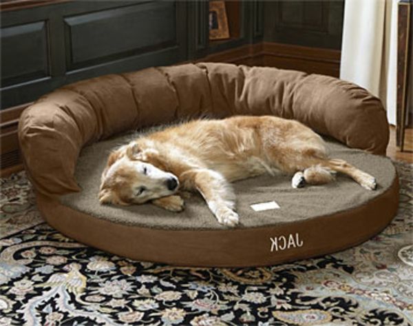 brun-ortopedisk-hund-säng-xxl - en hund har somnat