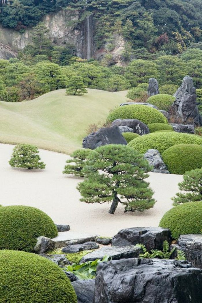 široko Japonski vrt Zen Bonsai drevesa