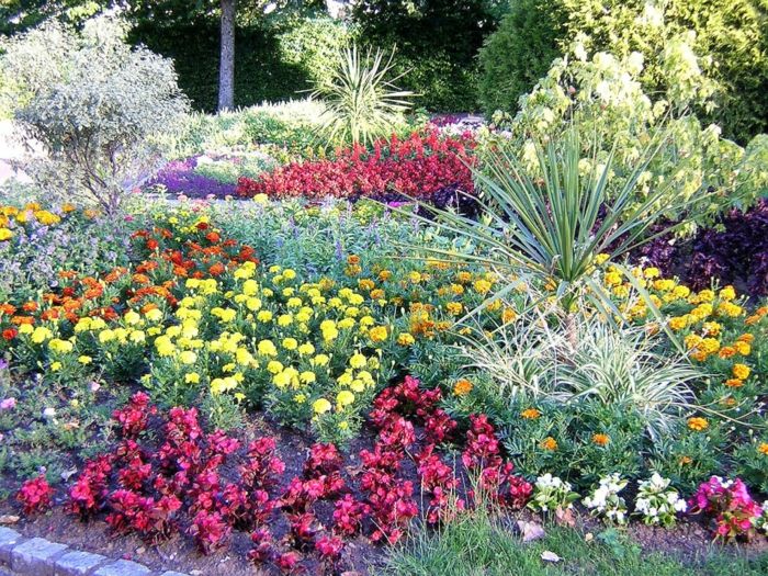 Britanski Krajinski Garden Park-veliko cvet rastline