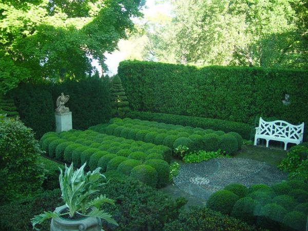 Buchsbaum formowane-ławki ogrodowe