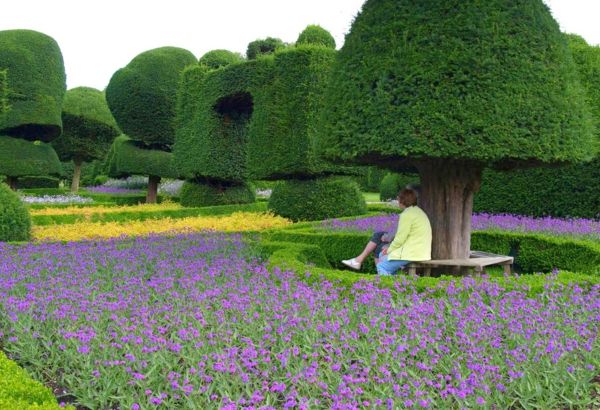 Buchsbaum støpte-historisk-Topiary-hage-sør-Cumbria