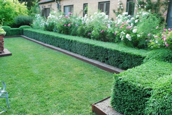 Buchsbaum formowanych kwadratowych ogród
