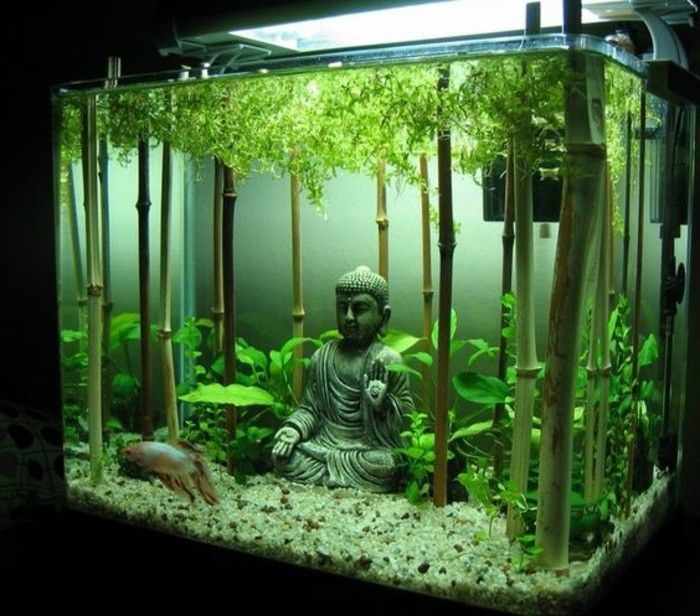 Buda-akvarij-deco-akvarij-z-bambusa set-velik in lepo kvadratnih akvarij